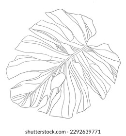 floral hand drawn ink outline ink design
