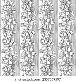 Floral hand drawn seamless pattern with lingonberry sprigs and berries, vertical lines. Vector black and white illustration. Perfect for design templates, wallpaper, wrapping, fabric, print