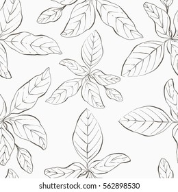 Floral hand drawn seamless pattern. Rustic design.