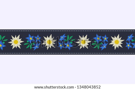 Floral hand drawn seamless pattern border with edelweiss. Decorative ribbon isolated. Vector symbol of Alps Mountain alpine flower cartoon. Oktoberfest event design element. Background illustration