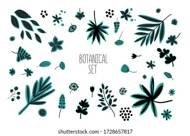 Floral hand drawn set. Vector flowers and leaves collection. Sketch art and doodle botanical illustration.