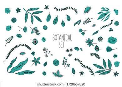 Conjunto floral dibujado a mano. Flores vectoriales y colección de hojas. Esbozo de arte y doodle ilustración botánica.