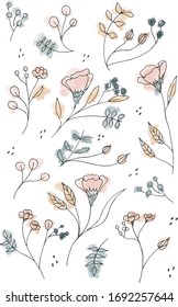 Floral hand drawn set with watercolor effect on background