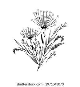 Floral hand drawn sketch with different plants, flowers, branches and herbs. Wildflower bouquet. Nature and botanical design elements. Vector illustration.