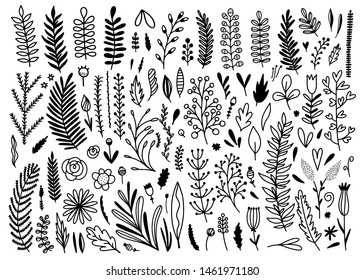 Floral hand drawn vector collection. Beautiful flowers, plants and leaves on white background. Cute botanical set