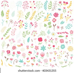 Floral hand drawn vintage set. Vector flowers and leaves collection. Sketch art illustration.