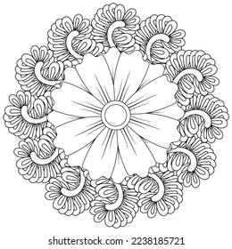 Floral, hand-drawn aster flowers in doodle style isolated on white background. Сoloring page for adults and kids, decorating kids' playroom or greeting card for vector illustration.
