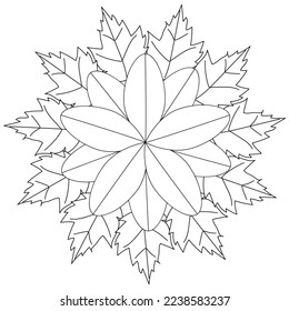 Floral, hand-drawn aster flowers in doodle style isolated on white background. Сoloring page for adults and kids, decorating kids' playroom or greeting card for vector illustration.