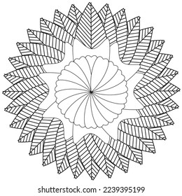Floral, hand-drawn aster flowers in doodle style isolated on white background. Сoloring page for adults and kids, decorating kids' playroom or greeting card for vector illustration.