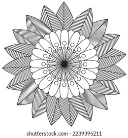 Floral, hand-drawn aster flowers in doodle style isolated on white background. Сoloring page for adults and kids, decorating kids' playroom or greeting card for vector illustration.