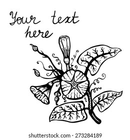 Floral hand-drawn vector illustration in doodle style