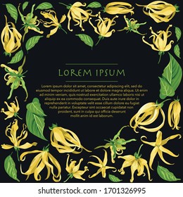 Floral heart shape frame with ylang flowers on black background. Yellow tropical flowers with long petals with green leaves