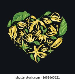 Floral heart shape illustration with ylang ylang flowers on black background. Yellow tropical flowers with long petals with green leaves
