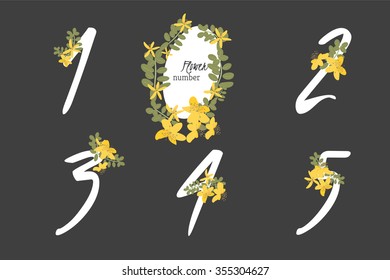 Floral herb St. John's wort collection numbers in vintage color. One, two, three, four, five - signs vector