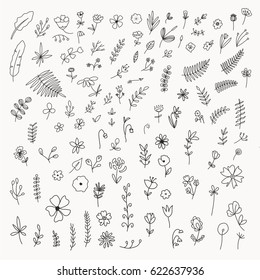 Floral and herbal big set. Graphic collection with fantasy field and forest herbs. Hand drawn different decoration elements. Botanical sketches for design on a white background. Isolated.