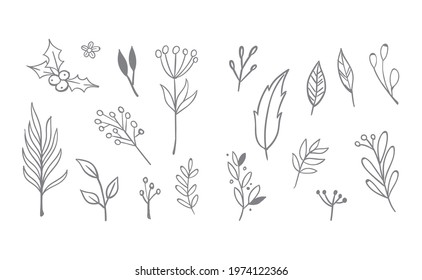 Floral and herbal ornament hand drawn designs. Leaves and branches nature doodles.