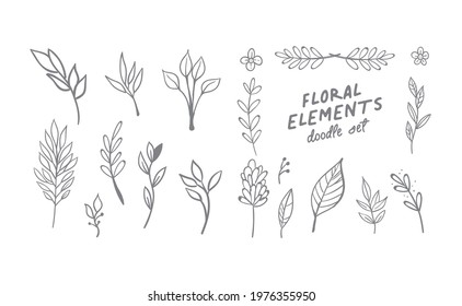 Floral and herbal ornament hand drawn designs. Leaves and branches nature doodles.