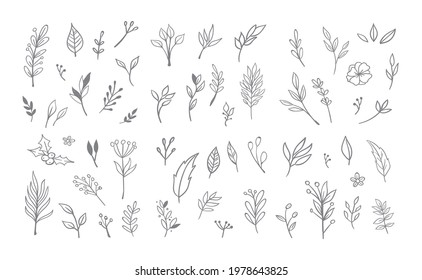 Floral and herbal ornament hand drawn designs. Leaves and branches nature doodles.