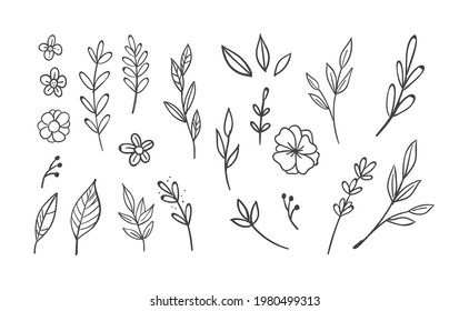 Floral and herbal ornament hand drawn designs. Leaves and branches nature doodles.