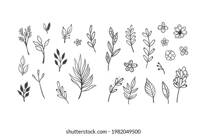 Floral and herbal ornament hand drawn designs. Leaves and branches nature doodles.