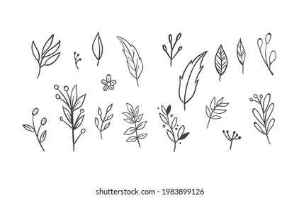 Floral and herbal ornament hand drawn designs. Leaves and branches nature doodles.