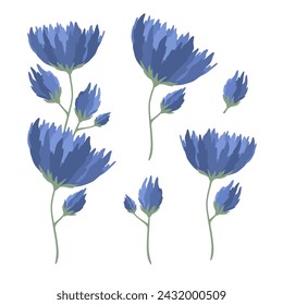 Floral herbal plants with blue blooms. Flowers set