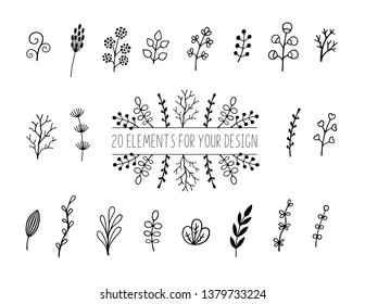 Floral and herbal set. Botanical elements for design on a white background. Sketch of branch, foliage,leaves, berries