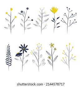 Floral and herbal set. Graphic collection with fantasy field herbs. Hand drawn elements. Botanical elements for design on a white background. Sketch of branch, foliage,leaves, berries