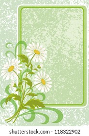 Floral holiday background with chamomile flowers and frame. Vector eps10, contains transparencies