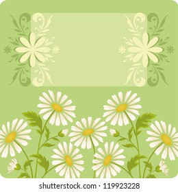 Floral holiday background with chamomile flowers and frame. Vector