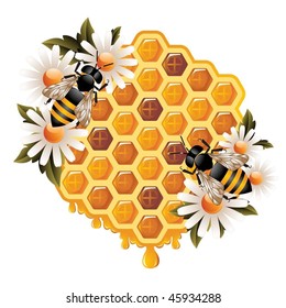Floral Honey Concept