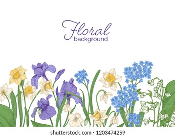 Floral horizontal backdrop decorated with spring meadow and woodland blooming flowers growing at bottom edge on white background. Seasonal hand drawn realistic colorful natural vector illustration.