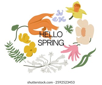 Floral horizontal backdrop decorated with spring meadow and woodland blooming flowers on white background.