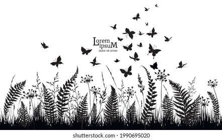 Floral horizontal background with silhouettes of fern, flowers and butterflies. Spring or summer background. Vector illustration.