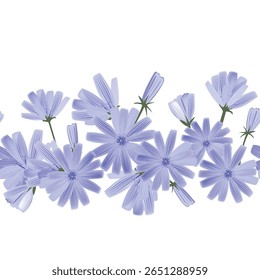 Floral horizontal border with blue chicory flowers. Hand drawn endless pattern for packaging, greeting cards, invitation. Vector illustration