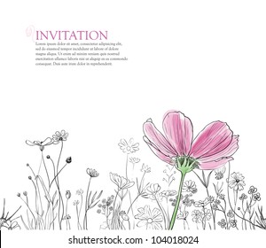 floral horizontal border for invitation on white