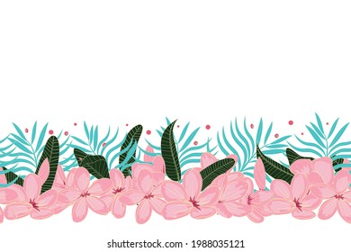 Floral horizontal border with pink plumeris flowers. Frame. For cards, posters, banners. Vector frame