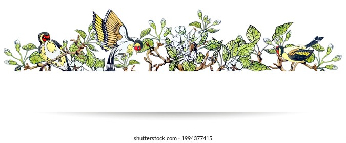 Floral horizontal border shadow with apple tree flowers and european goldfinch bird. Ornament of blossom flourishes and leaves. Spring page decoration and divider isolated. Vector stock illustration.