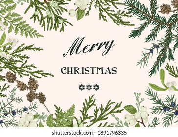 Floral horizontal frame with green forest and garden branches. Vector botanical illustration. Vintage style. Merry Christmas.