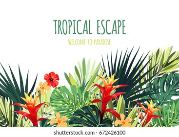 Floral horizontal postcard design with guzmania and hibiscus flowers, monstera and royal palm leaves. Exotic hawaiian vector background.