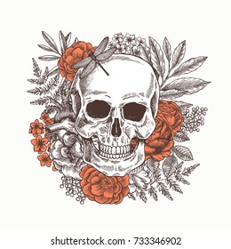 Floral human skull. Tattoo anatomy vintage illustration. Vector illustration