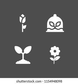 floral icon. 4 floral set with spring, rose and plant vector icons for web and mobile app
