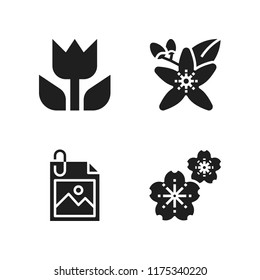 floral icon. 4 floral vector icons set. sakura, image and neroli icons for web and design about floral theme