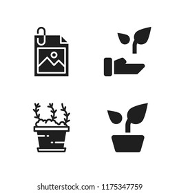floral icon. 4 floral vector icons set. plant and image icons for web and design about floral theme