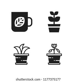 floral icon. 4 floral vector icons set. tea cup, plant and flower icons for web and design about floral theme