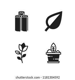 floral icon. 4 floral vector icons set. wallpaper, plant and leaf icons for web and design about floral theme