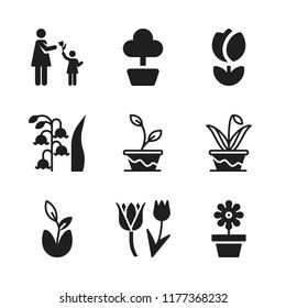floral icon. 9 floral vector icons set. lily, flower and plant icons for web and design about floral theme