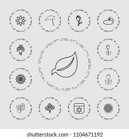 Floral icon. collection of 13 floral outline icons such as sunflower, flower, bouquet, rose, bouquet flower, pond, leaf, tulip. editable floral icons for web and mobile.