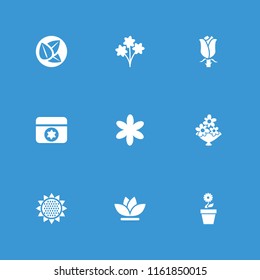 Floral icon. collection of 9 floral filled icons such as flower, bouquet, rose, leaf, sunflower, flower pot. editable floral icons for web and mobile.