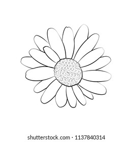 floral icon in flat design. Thin line style